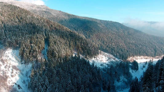 白雪皑皑的丛林山区。视图顶部