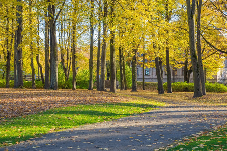 在里加，区 agenskalsns 的 Arkadijas 公园。秋天，黄色 tr