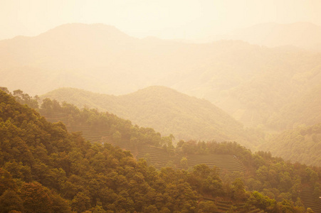 雾和云山山谷风景中国