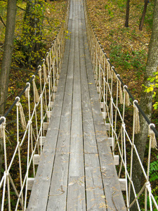 悬索桥在森林里图片