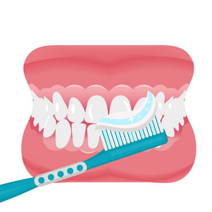 下巴与牙齿和牙刷图标平风格。张开嘴，假牙。牙科医学概念。白色背景上的孤立。矢量图