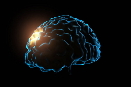 人类的大脑与神经元冲动。旋转。Loopable。蓝色。黑色和白色。科学。在我的投资组合的更多选择。3d 图