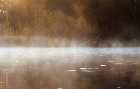清晨, 薄雾笼罩在湖面上