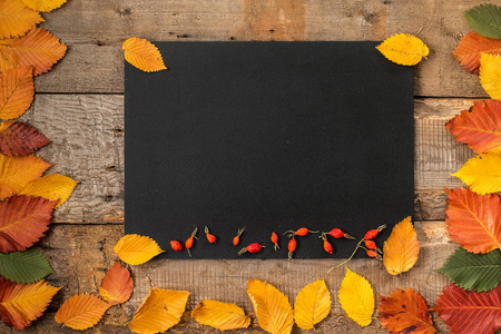 秋天的落叶上黑板背景的框架图片
