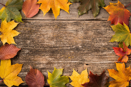 秋天的叶子在木制背景与副本空间