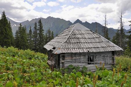 喀尔巴阡山上的老猎人小屋