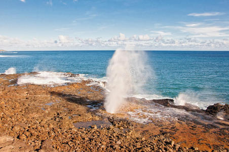 夏威夷考艾岛南岸喷涌的号角图片