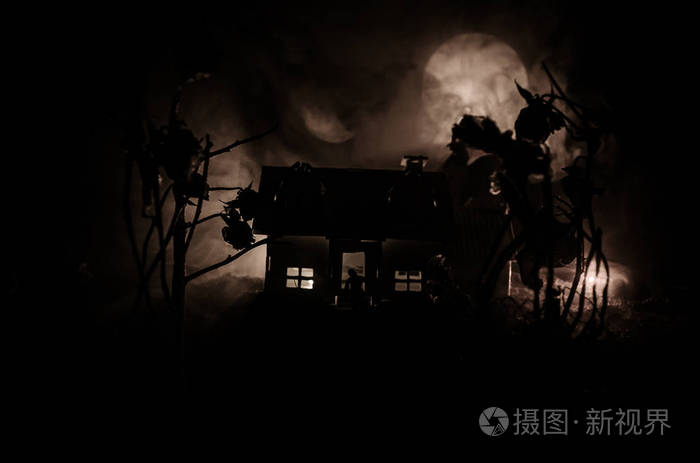 与一只鬼在月夜或放弃鬼恐怖屋在雾中的老房子.