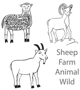羊农场动物野生
