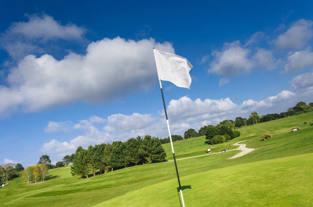 一个绿色的高尔夫球场, 洞和旗帜的明亮的阳光明媚的一天的看法。运动, 放松, 休闲和休闲的概念。阳光下的夏日风景