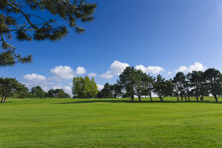 一个绿色的高尔夫球场在晴朗的晴天的一般看法。田园诗般的夏日景色。运动休闲休闲娱乐的概念