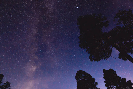 山中有银河和树木的夜景