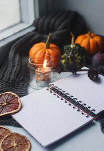 舒适的秋季背景, 笔记本, 装饰南瓜, 干橘子, 蜡烛, 坚果, 肉桂和秋叶