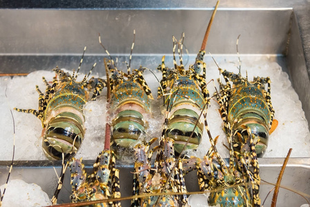 龙虾虾在冰是大和非常可口的食物是可利用的