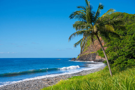 Punaluu 黑沙滩, 夏威夷