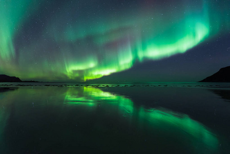 挪威敦群岛的北极光