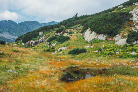 波兰高 Tatra 山脉五湖流域鸟瞰图