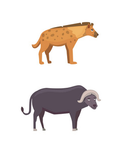水牛和鬣狗野生动物园独立插图图片