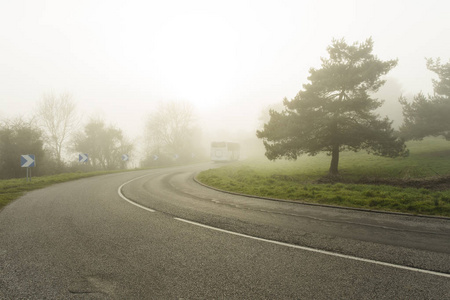雾沥青弯曲的道路穿过森林。在法国诺曼底地区能见度低的天气。雾天的乡村风光。调子