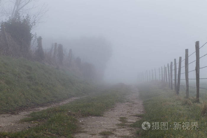 雾天的乡村景观.调子