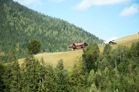 喀尔巴阡山夏季景观，青山和木栅栏，老式的嬉皮士，惊人的背景