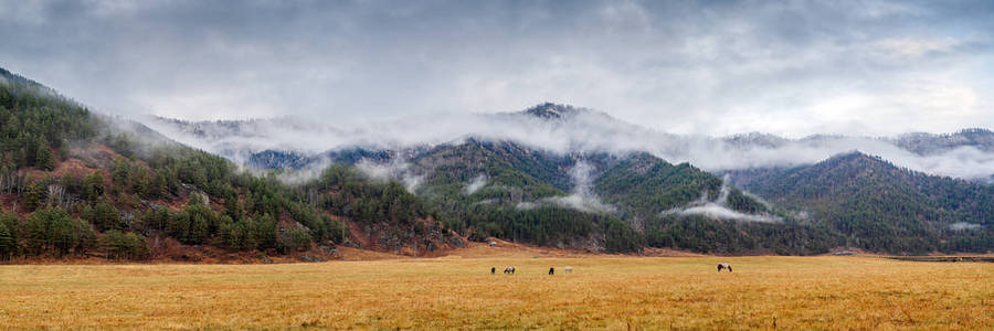 秋天风景山