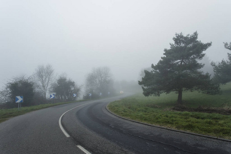 雾沥青弯曲的道路穿过森林。在法国诺曼底地区能见度低的天气。雾天的乡村风光。调子