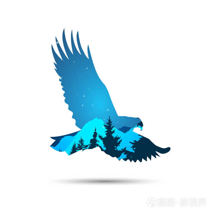 老鹰的剪影