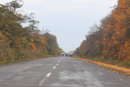 道路在秋天的风景