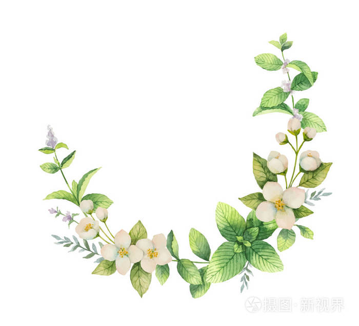 在白色背景上的花和枝茉莉的水彩矢量花环