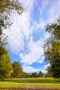 绿色的高尔夫球场和蓝色多云的天空