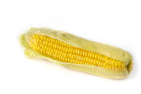 新鲜的生玉米芯在干净的白色背景