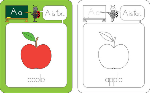 学习阅读发音或闪存卡