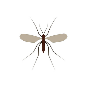在白色背景上隔离的蚊媒插图