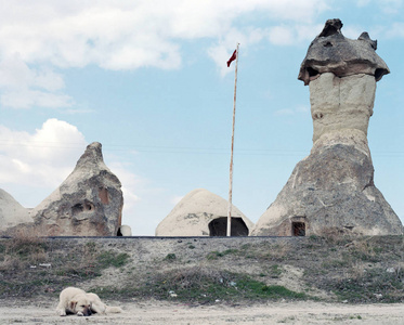 惊人的岩石编队和流浪狗在于尔, 土耳其