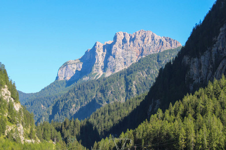 风景与绿色森林山和蓝天