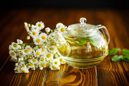 玻璃茶壶配洋甘菊茶