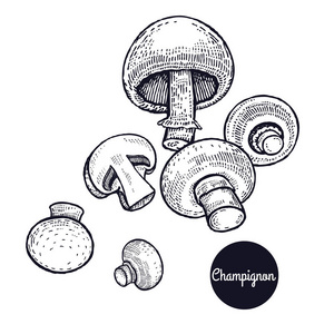老式雕刻蘑菇香菇