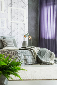 现代卧室的紫色窗帘