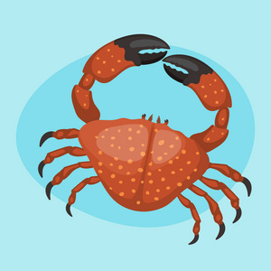 卡通蟹矢量平板插图新鲜海鲜图标可爱的红色海洋生物动物性格