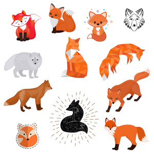 狐狸矢量卡通可爱的动物野生标志, 平面, 素描设计野生动物狐宝宝孤立的白色背景野生动物