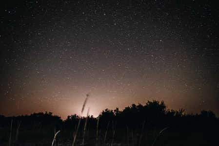 明亮的星空背景下的灯后, 它和树木的剪影