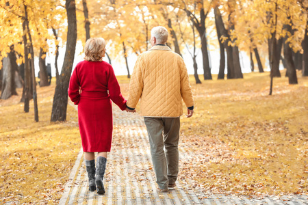 老年夫妇在公园里漫步在秋天的日子