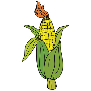 白色背景下卡通玉米颜色的矢量图解