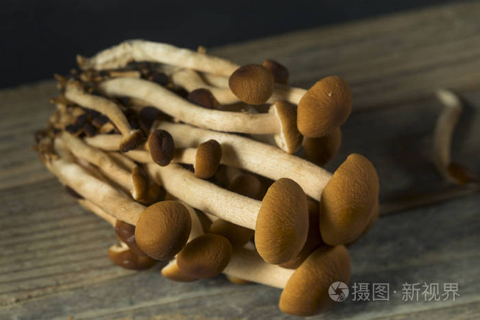 生褐色 pioppini 蘑菇