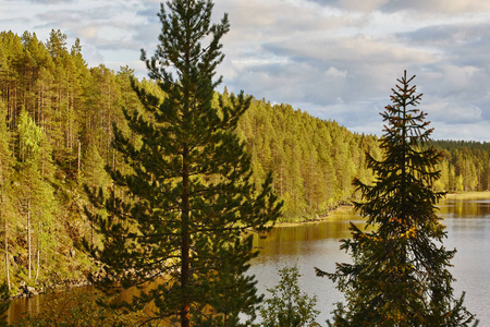 芬兰森林和湖在 Pieni Karhunkierros 小径。秋天