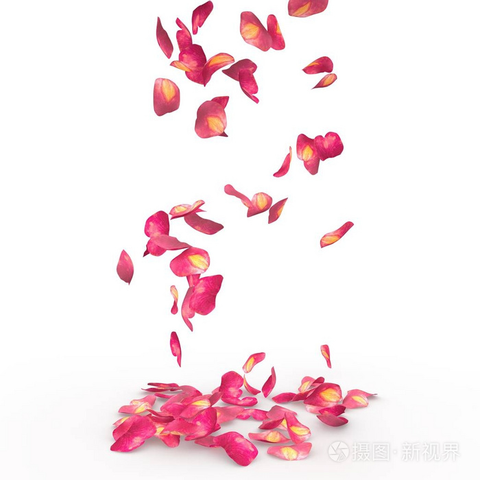 玫瑰花瓣掉在地上