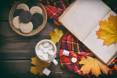 一杯可可糖, 巧克力曲奇和花生饼干, 书, 毯子。秋季休闲, 乡村生活, 季节性放松或乡村度假概念