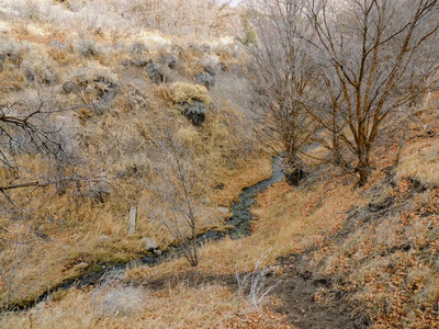 深秋全景森林景观徒步旅行骑马小径，穿过黄色叉子上的树木和玫瑰峡谷小径，在美国犹他州盐湖县的石场前面。