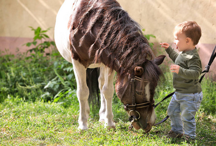 农场里有匹马的可爱小男孩